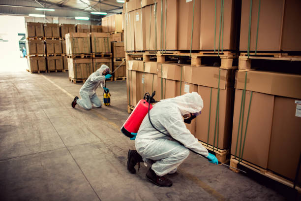 Best Flea Control Services  in Litchfield, MN