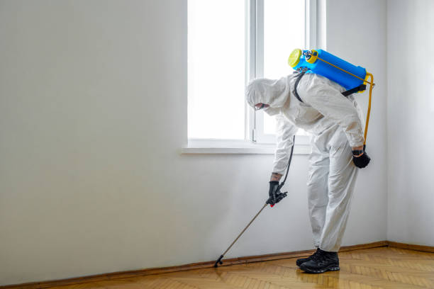 Best Pest Removal Services  in Litchfield, MN