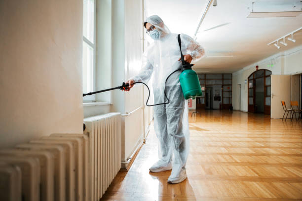 Best Cockroach Control Services  in Litchfield, MN