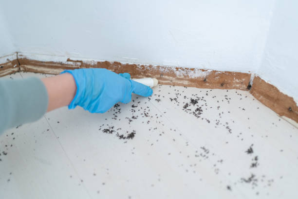 Best Affordable Pest Control Services  in Litchfield, MN